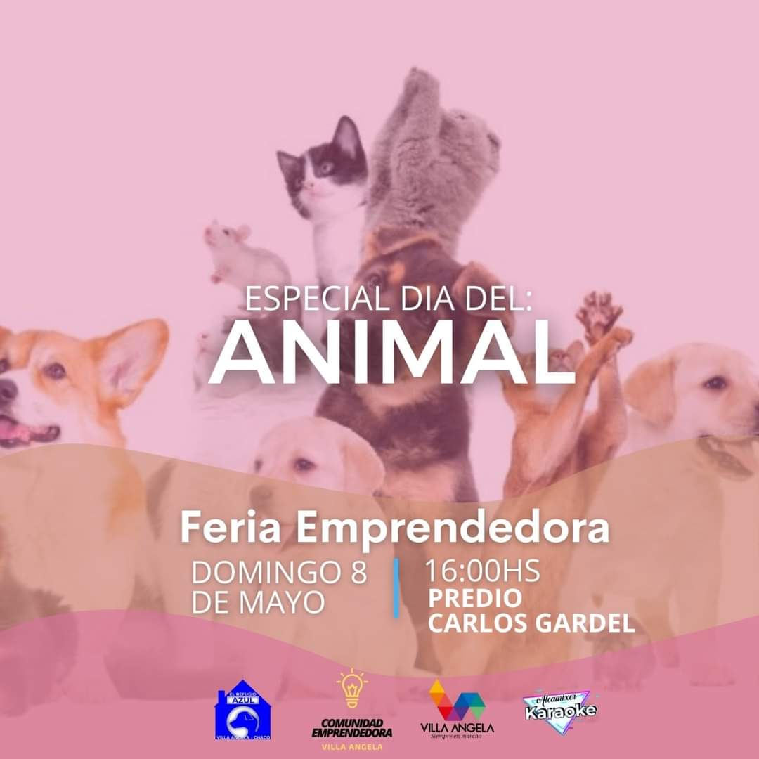 VILLA ANGELA: EL MUNICIPIO ACOMPAÑA FERIA EMPRENDEDORA ESPECIAL DÍA DEL ANIMAL