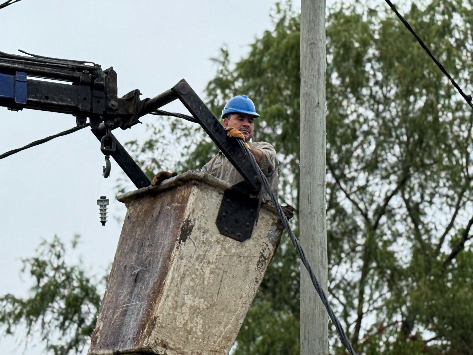 *ISLA DEL CERRITO: SECHEEP REFUERZA EL SERVICIO EL&Eacute;CTRICO Y RENUEVA EL ALUMBRADO PARA EL TORNEO DEL DORADO*
