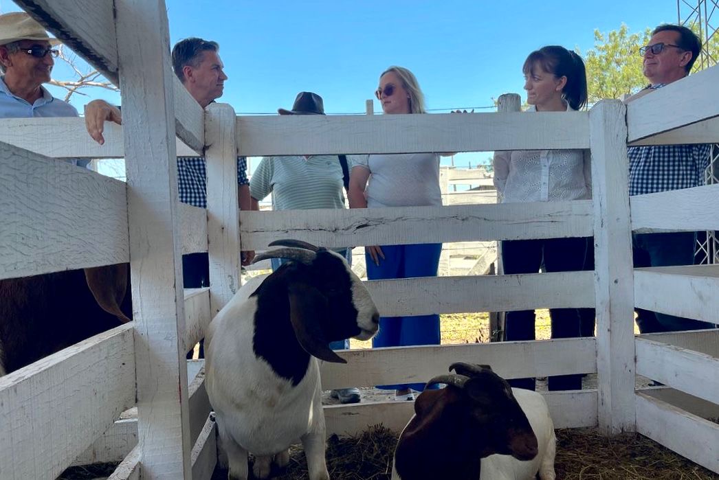 FIESTA PROVINCIAL DEL CHIVO: “LA PRODUCCIÓN CHAQUEÑA ES DE CALIDAD Y ESTAMOS POR EL BUEN CAMINO” AFIRMÓ EL GOBERNADOR ZDERO