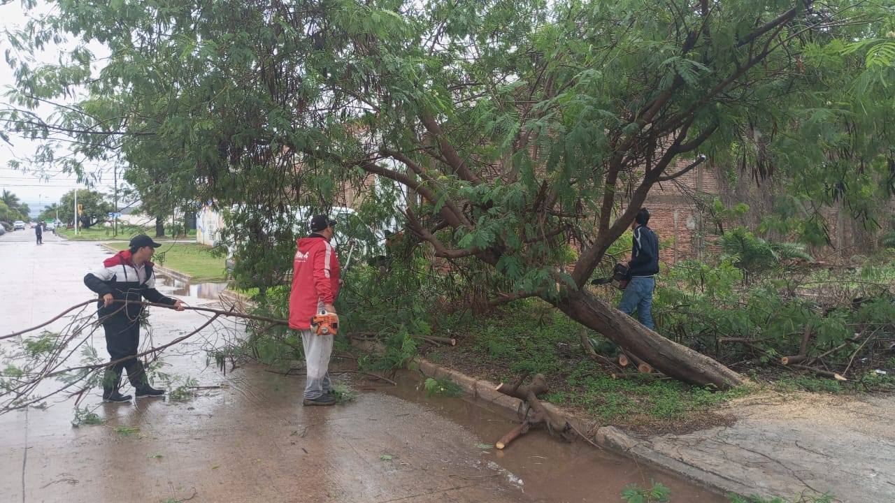 TRAS LA TORMENTA, EL MUNICIPIO DESPLIEGA CUADRILLAS EN DISTINTOS SECTORES DE LA CIUDAD