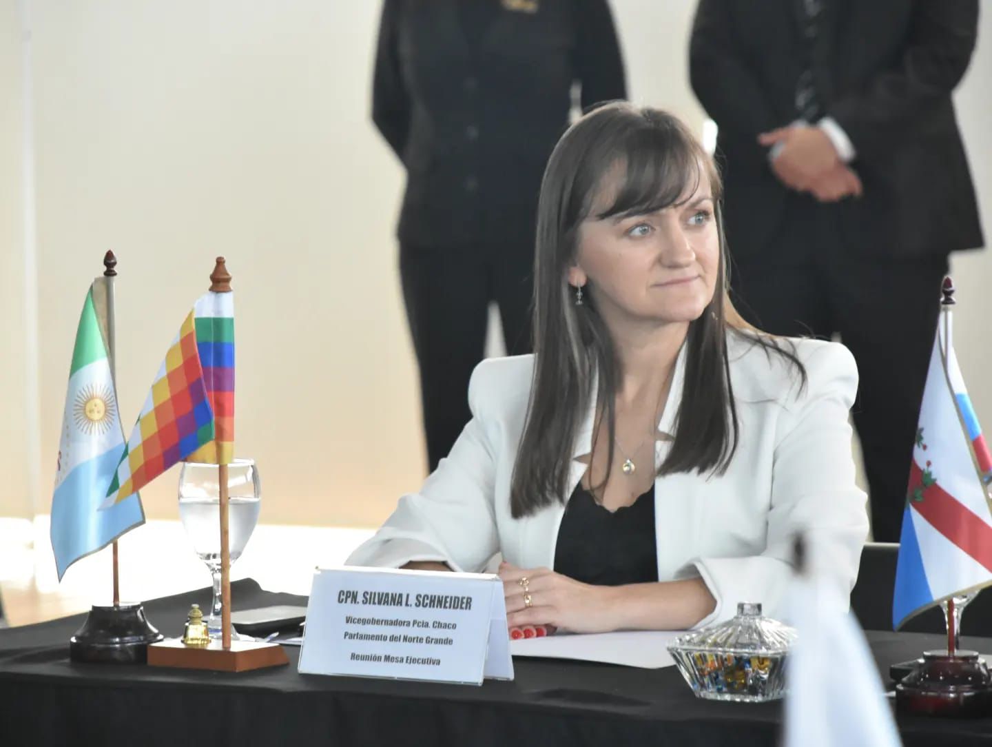 *EN SANTIAGO DEL ESTERO, LA VICEGOBERNADORA SCHNEIDER PARTICIPÓ DE LA MESA EJECUTIVA DEL PARLAMENTO DEL NORTE GRANDE ARGENTINO*