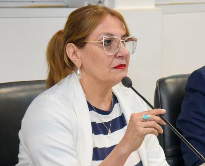 *BISONNI: &ldquo;FRENAR LA LEY DE BOSQUES ES RETROCEDER Y GENERAR INCERTIDUMBRE&rdquo;*