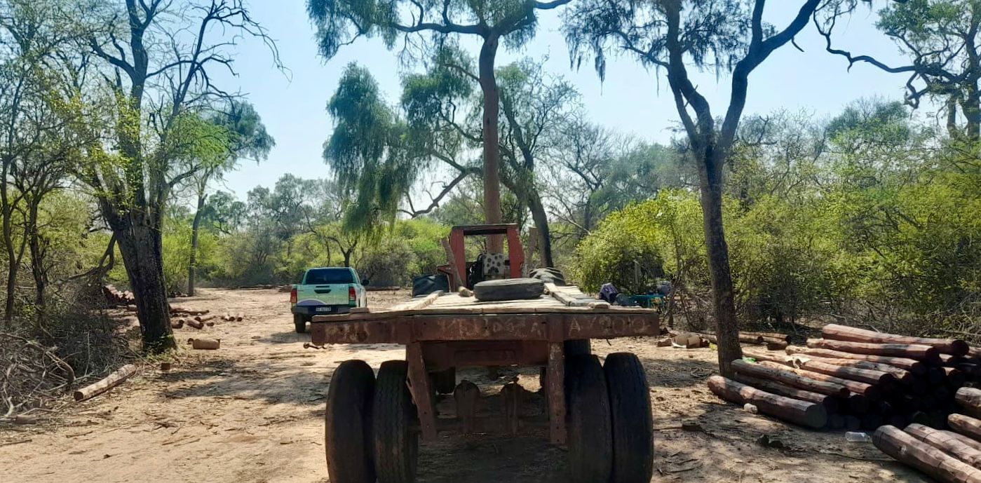 ILEGALMENTE CORTADOS: MILLONARIO RECUPERO DE POSTES, POR PARTE DE LA DIRECCIÓN DE BOSQUES