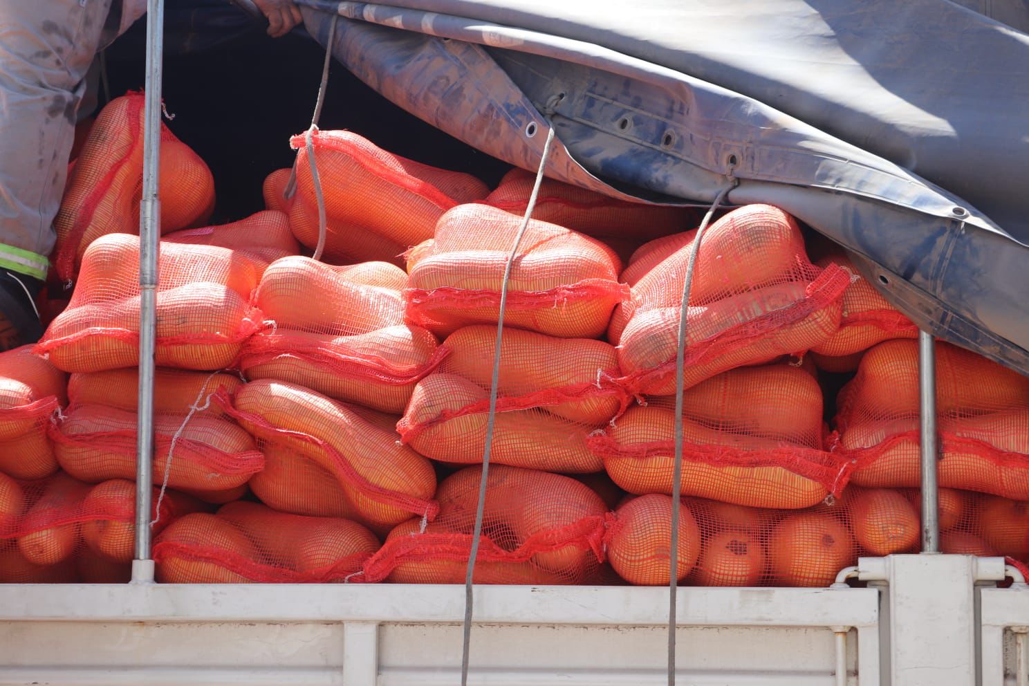 *HIST&Oacute;RICO: EL PUERTO DE BARRANQUERAS ENV&Iacute;A A URUGUAY SU PRIMERA CARGA DE ZAPALLO CHAQUE&Ntilde;O*